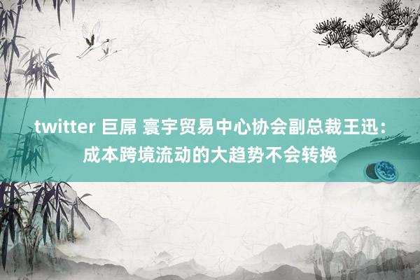 twitter 巨屌 寰宇贸易中心协会副总裁王迅：成本跨境流动的大趋势不会转换