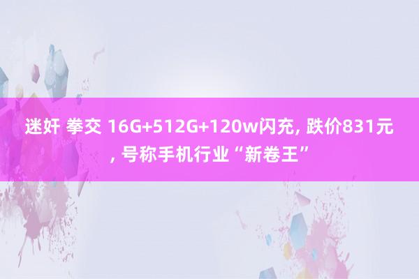 迷奸 拳交 16G+512G+120w闪充， 跌价831元， 号称手机行业“新卷王”