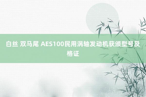 白丝 双马尾 AES100民用涡轴发动机获颁型号及格证