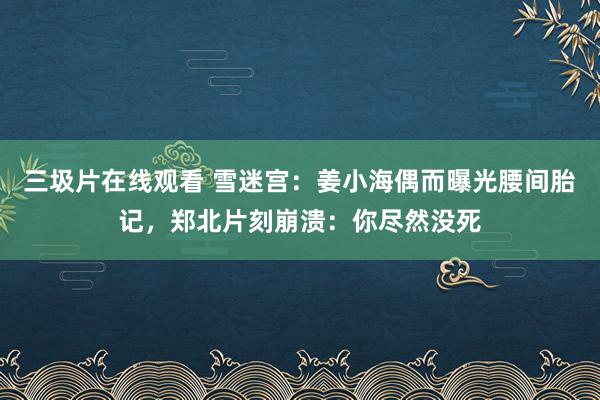 三圾片在线观看 雪迷宫：姜小海偶而曝光腰间胎记，郑北片刻崩溃：你尽然没死