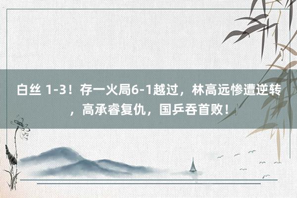 白丝 1-3！存一火局6-1越过，林高远惨遭逆转，高承睿复仇，国乒吞首败！