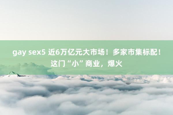 gay sex5 近6万亿元大市场！多家市集标配！这门“小”商业，爆火