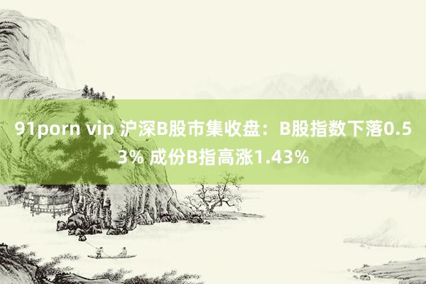 91porn vip 沪深B股市集收盘：B股指数下落0.53% 成份B指高涨1.43%