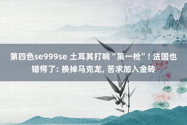 第四色se999se 土耳其打响“第一枪”! 法国也错愕了: 换掉马克龙， 苦求加入金砖