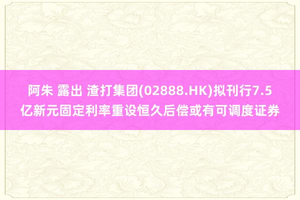 阿朱 露出 渣打集团(02888.HK)拟刊行7.5亿新元固定利率重设恒久后偿或有可调度证券