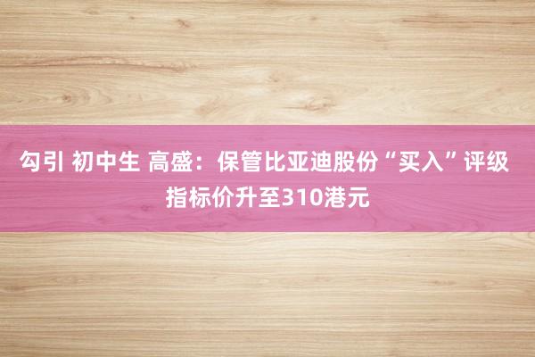 勾引 初中生 高盛：保管比亚迪股份“买入”评级 指标价升至310港元