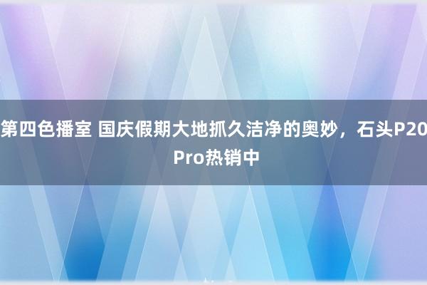 第四色播室 国庆假期大地抓久洁净的奥妙，石头P20 Pro热销中