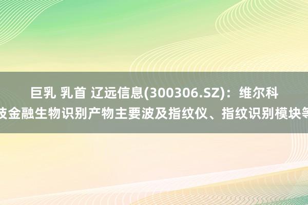 巨乳 乳首 辽远信息(300306.SZ)：维尔科技金融生物识别产物主要波及指纹仪、指纹识别模块等