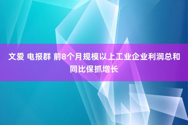 文爱 电报群 前8个月规模以上工业企业利润总和同比保抓增长