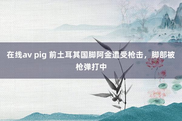 在线av pig 前土耳其国脚阿金遭受枪击，脚部被枪弹打中