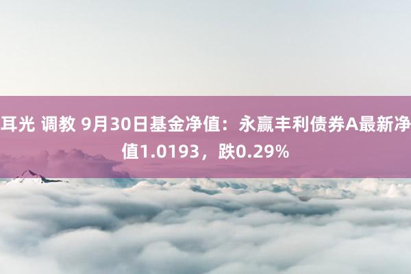 耳光 调教 9月30日基金净值：永赢丰利债券A最新净值1.0193，跌0.29%