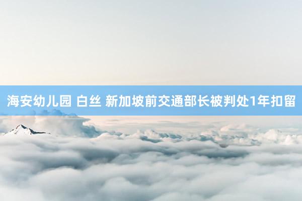 海安幼儿园 白丝 新加坡前交通部长被判处1年扣留