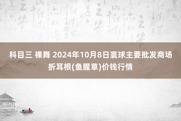 科目三 裸舞 2024年10月8日寰球主要批发商场折耳根(鱼腥草)价钱行情