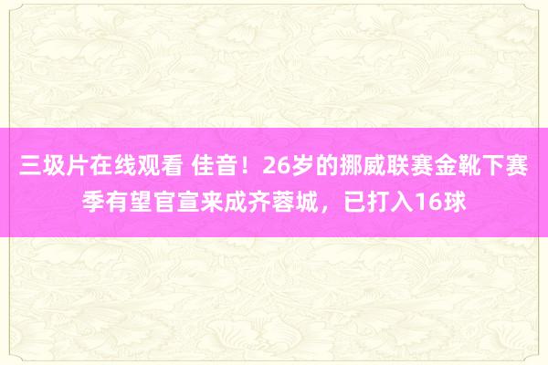 三圾片在线观看 佳音！26岁的挪威联赛金靴下赛季有望官宣来成齐蓉城，已打入16球