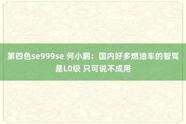 第四色se999se 何小鹏：国内好多燃油车的智驾是L0级 只可说不成用