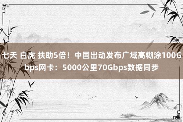 七天 白虎 扶助5倍！中国出动发布广域高糊涂100Gbps网卡：5000公里70Gbps数据同步