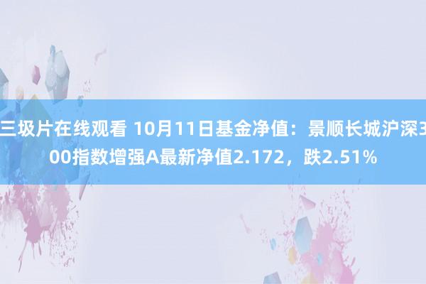 三圾片在线观看 10月11日基金净值：景顺长城沪深300指数增强A最新净值2.172，跌2.51%