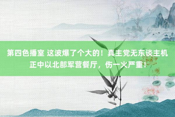 第四色播室 这波爆了个大的！真主党无东谈主机正中以北部军营餐厅，伤一火严重！