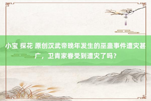 小宝 探花 原创汉武帝晚年发生的巫蛊事件遭灾甚广，卫青家眷受到遭灾了吗？