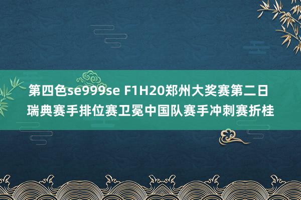 第四色se999se F1H20郑州大奖赛第二日 瑞典赛手排位赛卫冕中国队赛手冲刺赛折桂