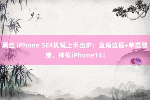 黑丝 iPhone SE4机模上手出炉：直角边框+单摄缱绻，神似iPhone14！