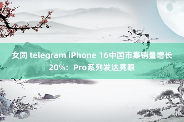 女同 telegram iPhone 16中国市集销量增长20%：Pro系列发达亮眼