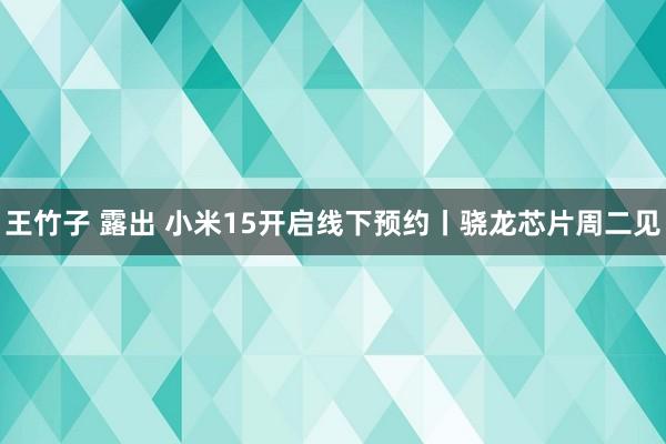 王竹子 露出 小米15开启线下预约丨骁龙芯片周二见