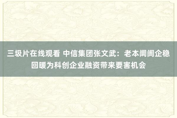 三圾片在线观看 中信集团张文武：老本阛阓企稳回暖为科创企业融资带来要害机会