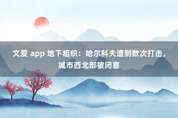 文爱 app 地下组织：哈尔科夫遭到数次打击，城市西北部被闭塞