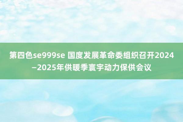 第四色se999se 国度发展革命委组织召开2024—2025年供暖季寰宇动力保供会议