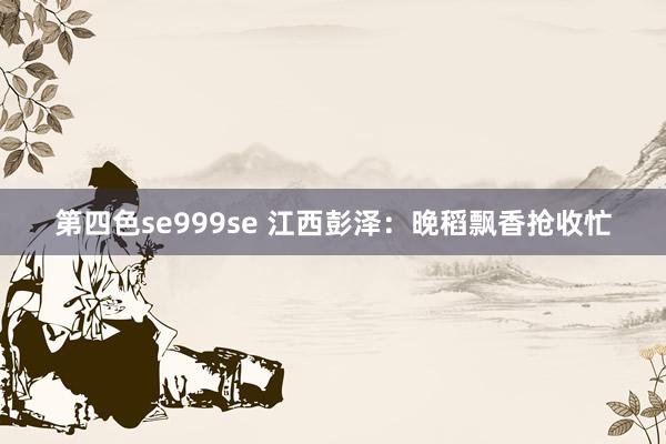 第四色se999se 江西彭泽：晚稻飘香抢收忙