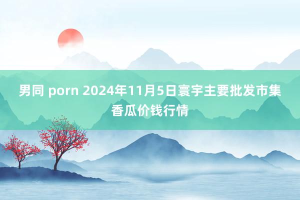 男同 porn 2024年11月5日寰宇主要批发市集香瓜价钱行情