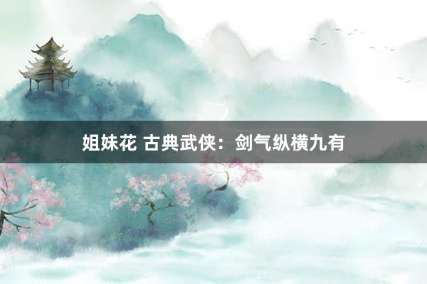 姐妹花 古典武侠：剑气纵横九有