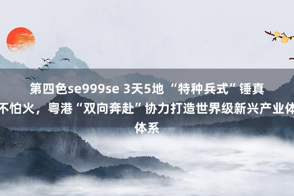 第四色se999se 3天5地 “特种兵式”锤真金不怕火，粤港“双向奔赴”协力打造世界级新兴产业体系