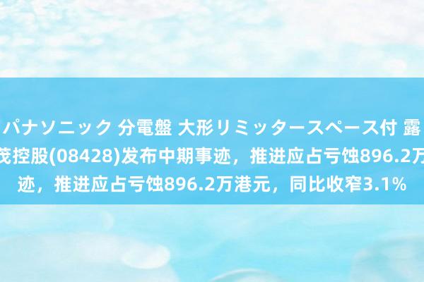 パナソニック 分電盤 大形リミッタースペース付 露出・半埋込両用形 国茂控股(08428)发布中期事迹，推进应占亏蚀896.2万港元，同比收窄3.1%