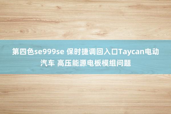 第四色se999se 保时捷调回入口Taycan电动汽车 高压能源电板模组问题