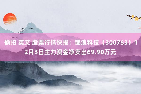 偷拍 英文 股票行情快报：锦浪科技（300763）12月3日主力资金净卖出69.90万元