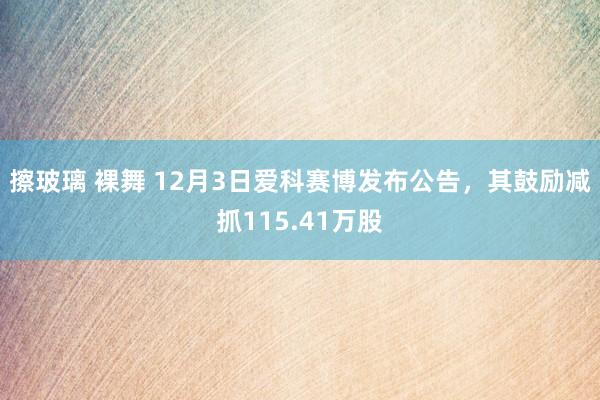 擦玻璃 裸舞 12月3日爱科赛博发布公告，其鼓励减抓115.41万股