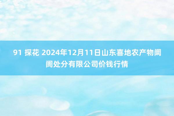 91 探花 2024年12月11日山东喜地农产物阛阓处分有限公司价钱行情