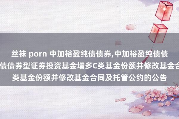 丝袜 porn 中加裕盈纯债债券，中加裕盈纯债债券C: 对于中加裕盈纯债债券型证券投资基金增多C类基金份额并修改基金合同及托管公约的公告