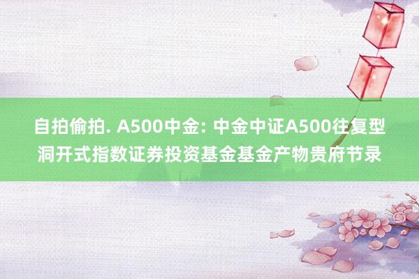 自拍偷拍. A500中金: 中金中证A500往复型洞开式指数证券投资基金基金产物贵府节录