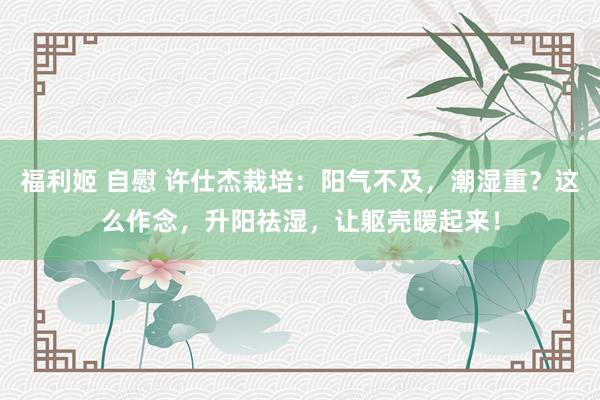 福利姬 自慰 许仕杰栽培：阳气不及，潮湿重？这么作念，升阳祛湿，让躯壳暖起来！