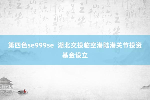 第四色se999se  湖北交投临空港陆港关节投资基金设立