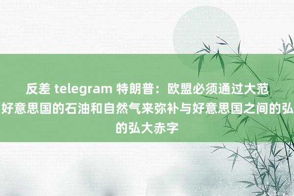 反差 telegram 特朗普：欧盟必须通过大范围购买好意思国的石油和自然气来弥补与好意思国之间的弘大赤字