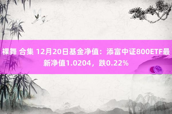 裸舞 合集 12月20日基金净值：添富中证800ETF最新净值1.0204，跌0.22%