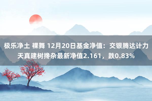 极乐净土 裸舞 12月20日基金净值：交银腾达计力天真建树搀杂最新净值2.161，跌0.83%