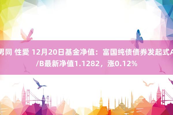 男同 性愛 12月20日基金净值：富国纯债债券发起式A/B最新净值1.1282，涨0.12%