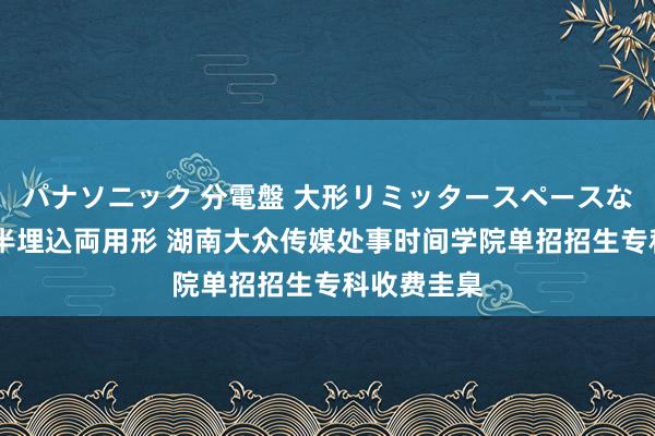 パナソニック 分電盤 大形リミッタースペースなし 露出・半埋込両用形 湖南大众传媒处事时间学院单招招生专科收费圭臬