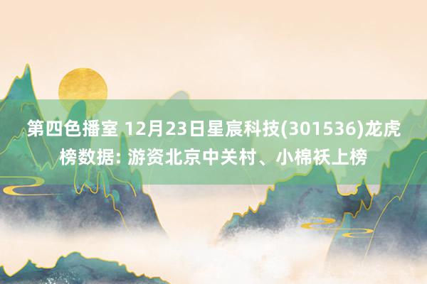 第四色播室 12月23日星宸科技(301536)龙虎榜数据: 游资北京中关村、小棉袄上榜