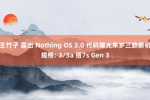 王竹子 露出 Nothing OS 3.0 代码曝光来岁三款新机规格: 3/3a 搭7s Gen 3